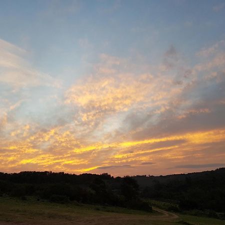 Stoneyvale Cottages Grahamstown Esterno foto