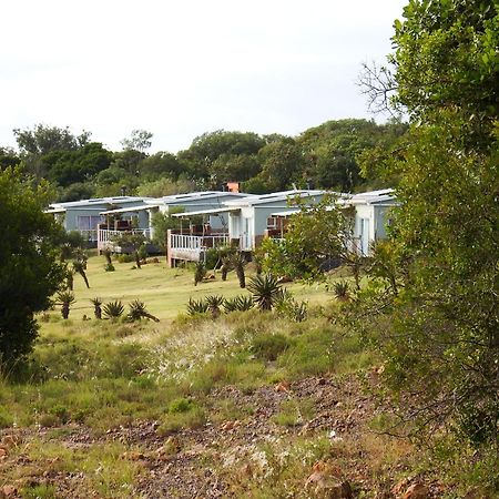 Stoneyvale Cottages Grahamstown Esterno foto