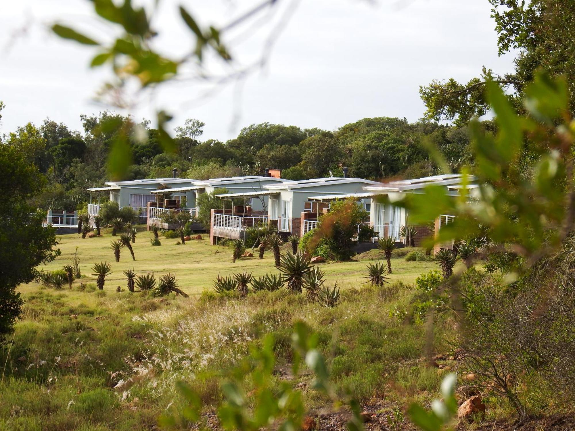 Stoneyvale Cottages Grahamstown Esterno foto