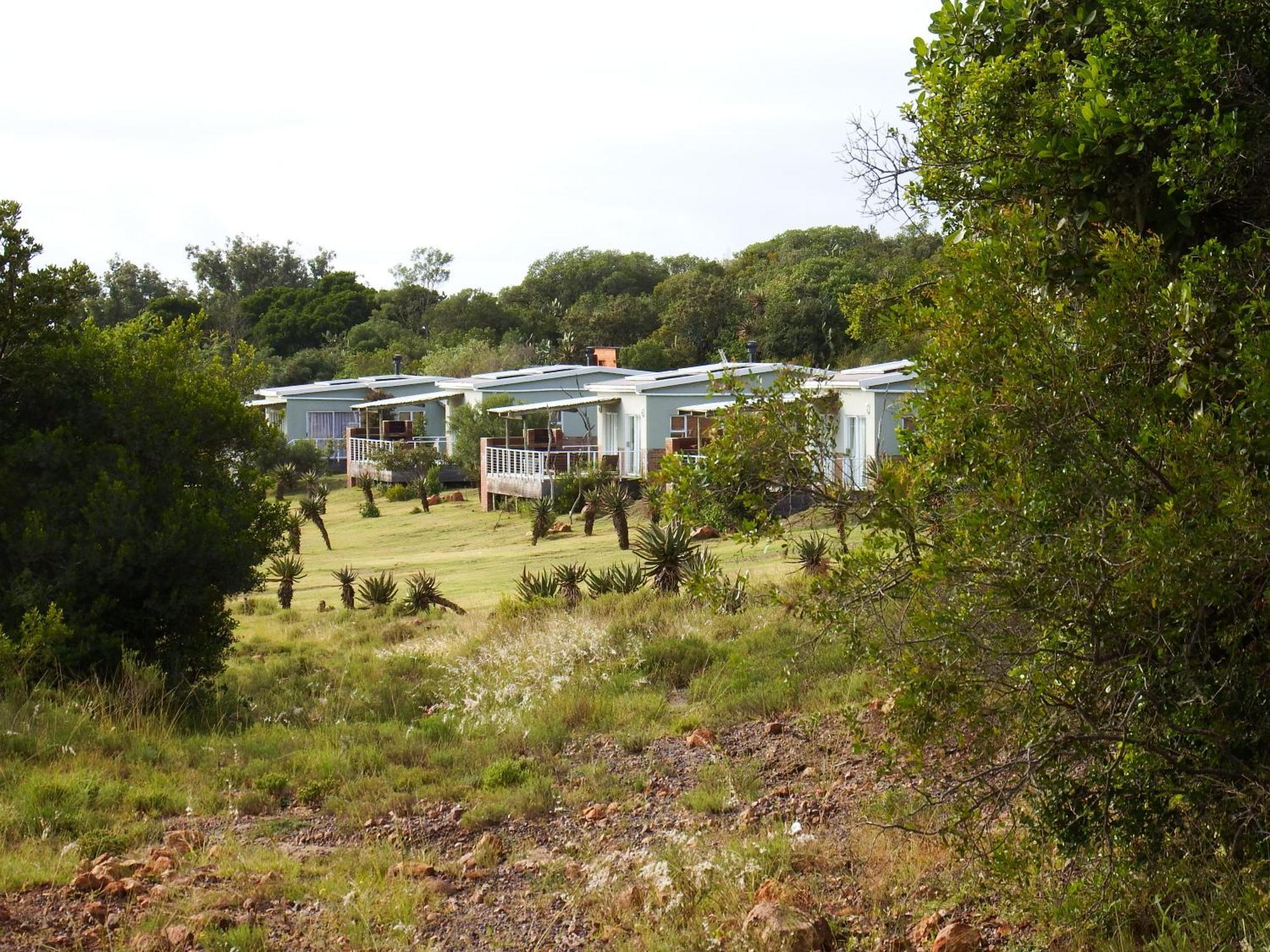 Stoneyvale Cottages Grahamstown Esterno foto